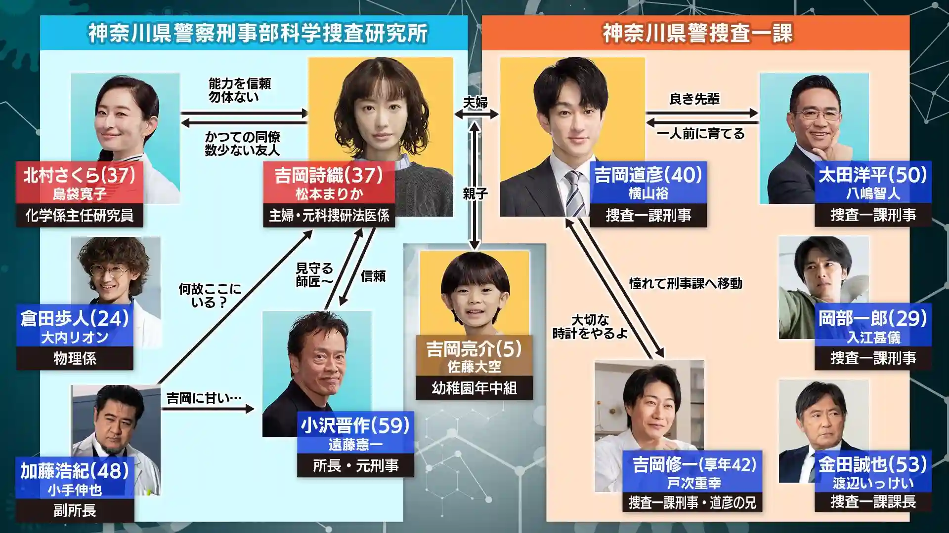 「元科捜研の主婦」相関図